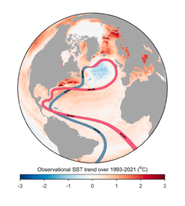 The graphic shows the Atlantic Meridional Overturning Circulation (“AMOC”). The blue “cold blob” is an alarming signal that the circulation will soon fail to reach northern Europe (source: What is happening in the Atlantic Ocean to the AMOC?)