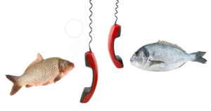 “CARP Talk” is YouSolar’s power line communication that sends and receives data to the STEP™ micro-converter.